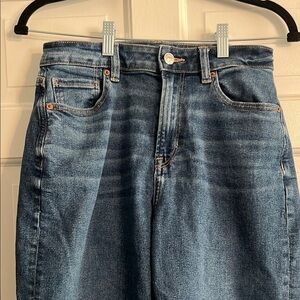 American Eagle Outfitters High Rise Blue Jeans